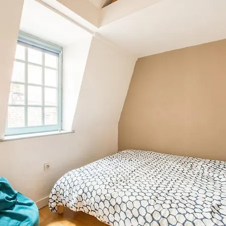 Апартаменты Joli Duplex Dans Un Immeuble Classe Du Vieux-lille Лилль