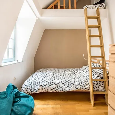 Апартаменты Joli Duplex Dans Un Immeuble Classe Du Vieux-lille